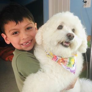 Meet your Posher, Pinna